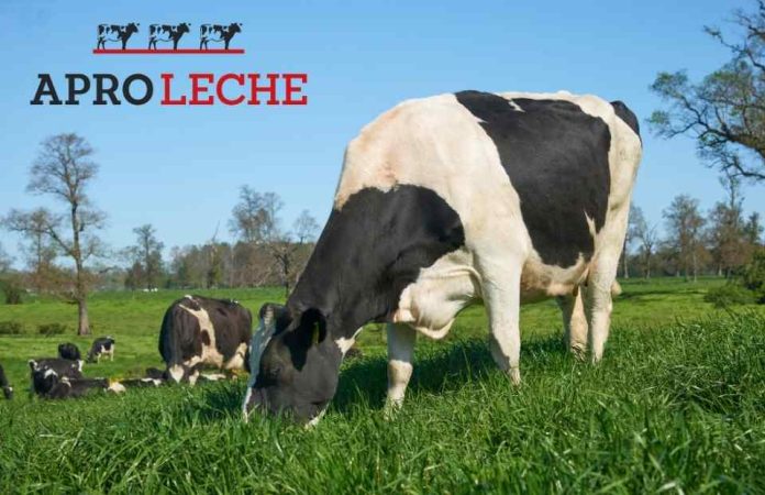 Aproleche Osorno estrena su nueva imagen de marca