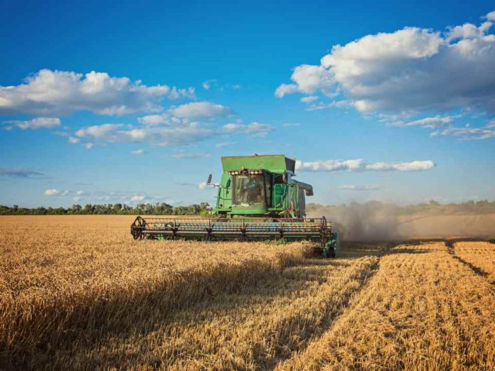 Argentina | Del desafío familiar a una app clave para el agro