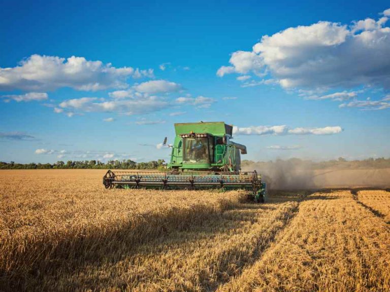 Argentina | Del desafío familiar a una app clave para el agro