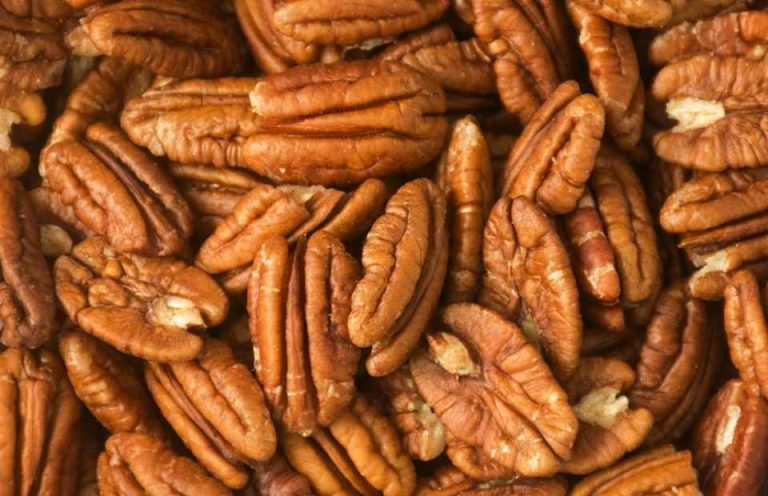 Argentina será sede del IV Simposio Sudamericano de Pecán