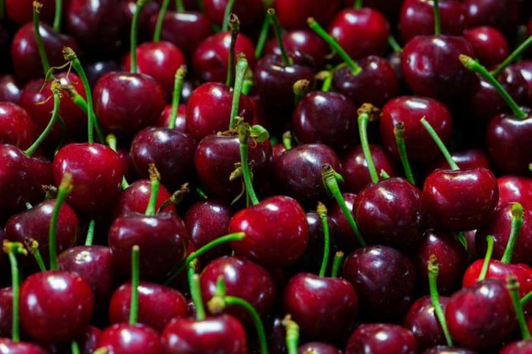 Las investigaciones de mercado sugieren que los compradores vietnamitas se están volviendo más selectivos en sus elecciones de alimentos, haciendo hincapié en la confianza en el origen. Imagen: Adobe Stock Según Summerfruit New Zealand, un nuevo estudio de mercado sobre la alimentación y el comercio minorista en Vietnam, un sector en rápida evolución, ha puesto de manifiesto las oportunidades a largo plazo que existen para las cerezas de Nueva Zelanda. La investigación se llevó a cabo con el apoyo de Summerfruit New Zealand y New Zealand Trade and Enterprise (NZTE). La investigación fue realizada por Cimigo, una destacada empresa independiente de investigación de mercado con sede en Asia. “Esto demuestra que los consumidores vietnamitas se están volviendo cada vez más selectivos y se guían por la relación calidad-precio en sus elecciones alimentarias, con un énfasis creciente en la seguridad alimentaria, la consistencia del producto y la confianza en el origen”, dijo Raj Singh, gerente comercial de Summerfruit Nueva Zelanda. “Estos cambios están creando condiciones favorables para la fruta importada de primera calidad, que puede demostrar claramente su calidad y fiabilidad. “Vietnam ya no es un mercado impulsado únicamente por la novedad. Los consumidores son más exigentes, sobre todo cuando se trata de alimentos frescos para familias, regalos y ocasiones especiales. Esto beneficia directamente a las cerezas de Nueva Zelanda.” La investigación de Cimigo destaca que, a medida que aumentan los ingresos y el comercio minorista moderno continúa expandiéndose, los consumidores vietnamitas priorizan cada vez más la confianza en la seguridad alimentaria y los estándares de producción, las indicaciones claras del país de origen, la calidad constante de los alimentos, el respaldo del minorista y la presentación. La investigación reveló que la fruta importada a menudo no se considera un sustituto de los productos locales, sino una ocasión de consumo aparte, especialmente para regalar, para la salud familiar y en momentos de celebración. “La reputación de Nueva Zelanda en cuanto a sistemas rigurosos de seguridad alimentaria, trazabilidad y producción hortícola de primera calidad conecta fuertemente con estas nuevas expectativas de los consumidores”, dijo Singh. Si bien los consumidores vietnamitas siguen siendo conscientes del precio, la investigación demostró que los productos de alta gama que justifican claramente su valor continúan teniendo un buen desempeño, especialmente en los principales centros urbanos y a través de los canales de venta minorista modernos. Los hallazgos de Cimigo sugieren que los productos importados exitosos son aquellos que logran un equilibrio entre calidad superior y presentación, comunicación clara del valor y suministro confiable y constante. “Esto refuerza la importancia de que las cerezas de Nueva Zelanda se posicionen no solo como de primera calidad, sino también como confiables y seguras”, dijo el Sr. Singh. “La consistencia a lo largo de las temporadas, los tamaños y la calidad de consumo también es fundamental”. La creciente madurez del mercado respalda la estrategia a largo plazo. Además, la investigación indica que el mercado de consumo de Vietnam está madurando rápidamente, comportándose más como una economía consolidada de ingresos medios que como una emergente. Si bien existe cierta cautela por parte de los consumidores a corto plazo, los fundamentos a largo plazo siguen siendo sólidos, respaldados por la urbanización, una creciente clase media y una infraestructura minorista moderna en expansión. “Para los exportadores, no se trata de buscar un volumen a corto plazo”, dijo el Sr. Singh. “Se trata de construir presencia, credibilidad y alianzas en un mercado que claramente se dirige hacia mayores expectativas y estándares más altos”. Oportunidad para las cerezas de Nueva Zelanda Summerfruit New Zealand considera a Vietnam un mercado de importancia estratégica para las cerezas, especialmente durante el período de exportación de Nueva Zelanda, cuando la oferta local es limitada y la demanda de fruta importada de primera calidad es mayor. «Los resultados de esta investigación confirman la dirección que muchos de nuestros exportadores ya están tomando», afirmó el Sr. Singh. «Vietnam premia a los exportadores que invierten en calidad, relaciones y desarrollo de mercado a largo plazo, y las cerezas de Nueva Zelanda están en una posición privilegiada para lograr precisamente eso».