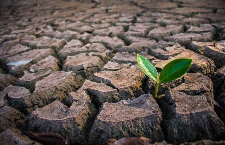 Chile: El desafío pendiente de los sitios contaminados y el rol clave de la remediación ambiental