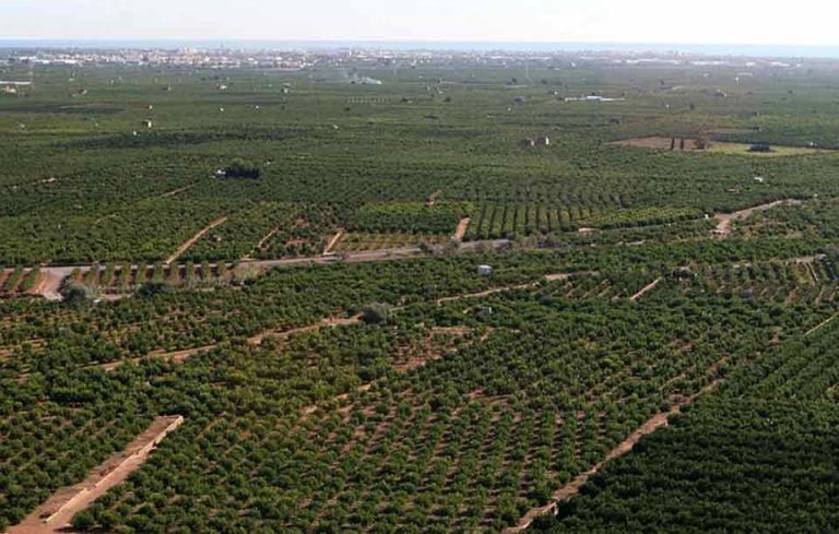 El sector alimentario pide estabilidad ante un posible giro regulatorio post-Brexit