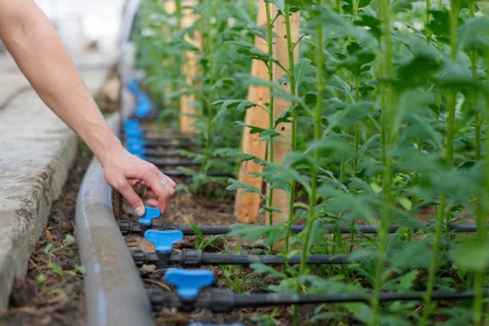 Eficiencia hídrica en la agricultura y una ley que perdió el foco