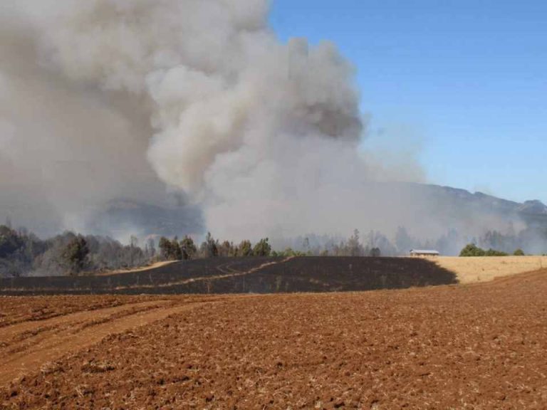 Emergencia agrícola para toda la Región de la Araucanía: Minagri activará ayudas y recursos con catastro previo