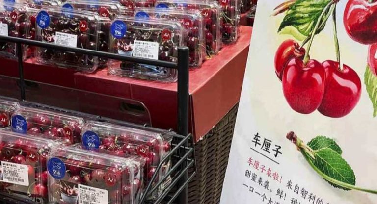 Exportaciones de cerezas chilenas 2025-2026 récord de envíos a china y precios estable
