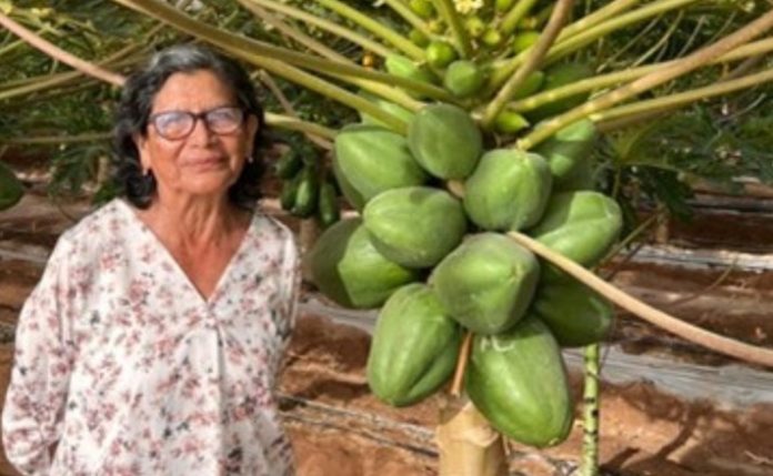 Mujer Agroinnovadora Regional Arica 2025 reconocida por FIA cosecha sus primera papayas con IoT