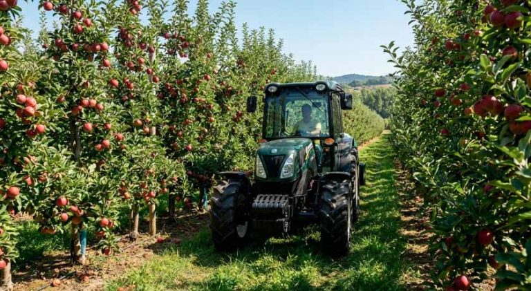 Importación de Maquinaria Agrícola en Chile: Tendencias y Análisis de Mercado