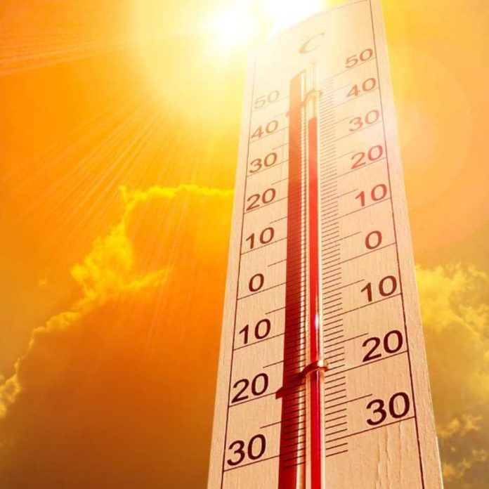 Informe de Amenaza Agrometeorológica de la DMC: Temperaturas máximas altas entre las regiones de Coquimbo y Metropolitana hasta el lunes 09 de febrero 2026