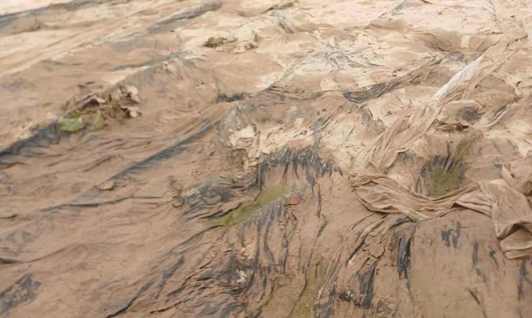 España | Los invernaderos de Almería, ‘en jaque’ por el viento y la humedad