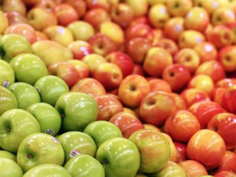 Manzanas europeas bajo la lupa: El 85% contiene «cócteles» de hasta 14 pesticidas destaca estudio