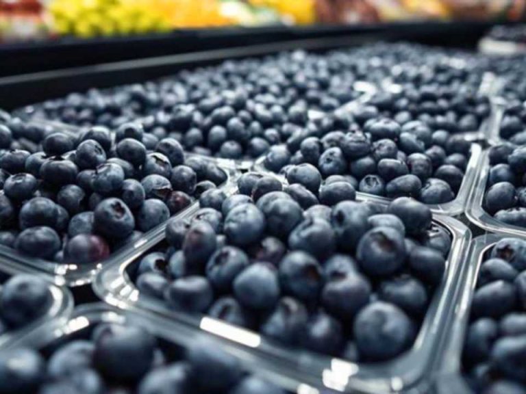 Perú | Seminario Internacional Blueberries Lima 2026