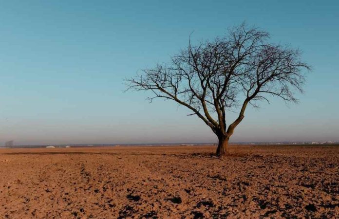 ¿A quién afecta el cambio climático? 65% de participantes de estudios considera que el riesgo es mayor para otros que para sí mismos